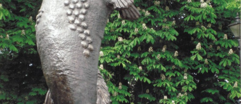 Fish-Abounding-Cahir